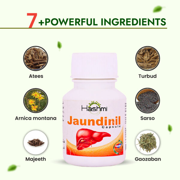 Hashmi Jaundinil Capsule (20 Caps) - Image 4