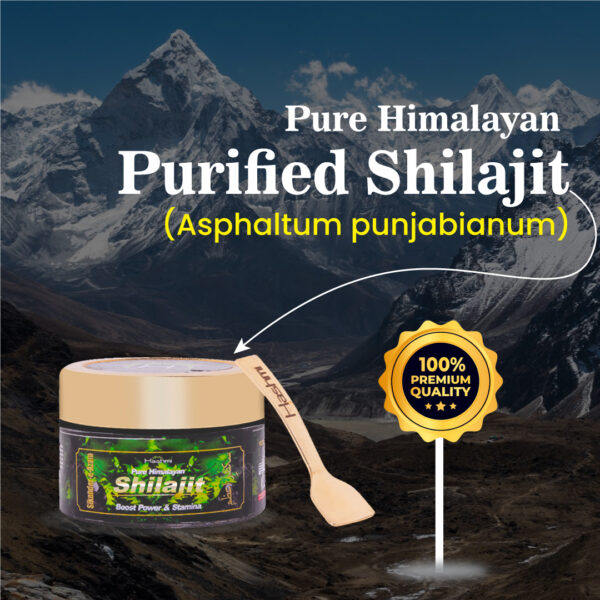 Hashmi Sikander E Azam Pure Himalayan Shilajit Resin, 10g - Image 9