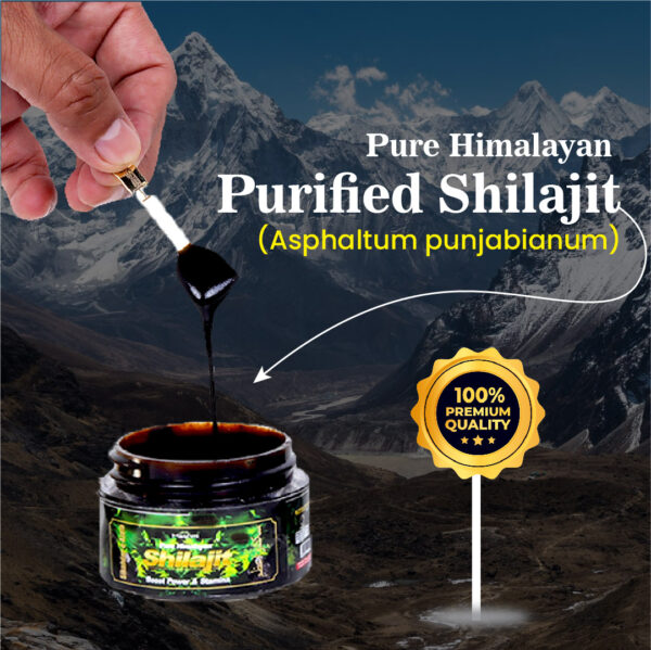 Hashmi Sikander E Azam Pure Himalayan Shilajit Resin, 10g - Image 3